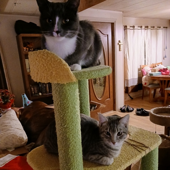 Meet your Posher! - Picture 2 of 3